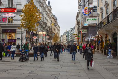 Viyana, Avusturya. tipik kentsel görünümü