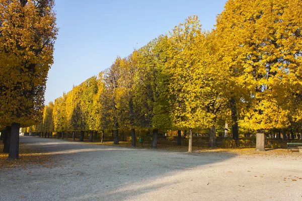 Viena, Austria, 31 de octubre de 2011. Vista otoñal Parque del Palacio de Schjalá nbrunn — Foto de Stock
