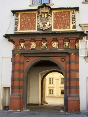 Viyana, Avusturya. tarihi binaların tipik mimari detaylar