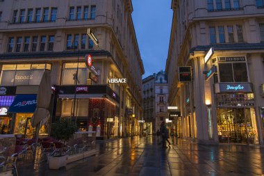 Viyana, Avusturya. yağmurlu havalarda akşam sokaklarda turist yürümek