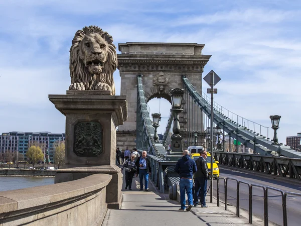 Budapest, Hungary. Chain the bridge through Danube — Stock Photo, Image