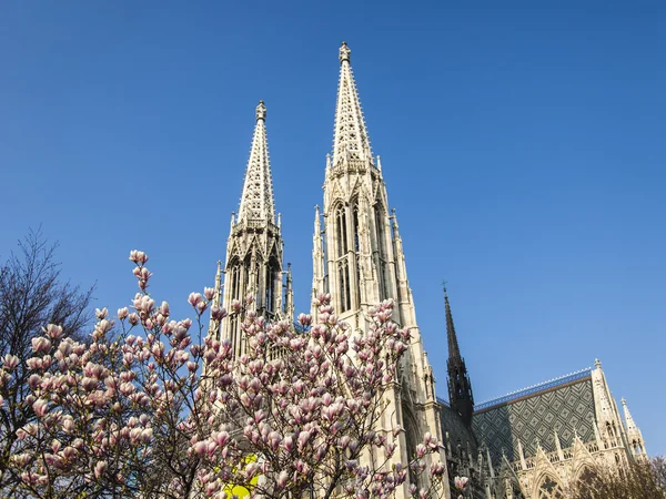 Wien, Österrike, den 24 mars 2014. Votivkirche, arkitektoniska detaljer — Stockfoto