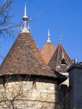 Budapeşte, Macaristan. Kale vaydahunyad. Mimari Detaylar.