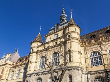 Budapeşte, Macaristan. Kale vaydahunyad. Mimari Detaylar.