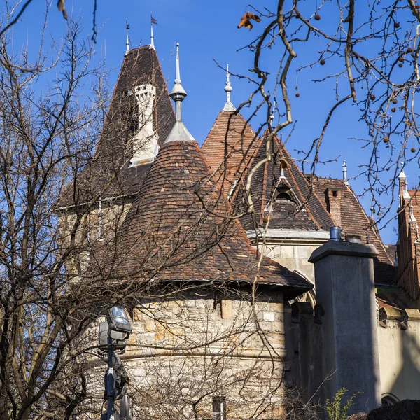 Budapest, Hongrie. Château Vaydahunyad. Détails architecturaux . — Photo