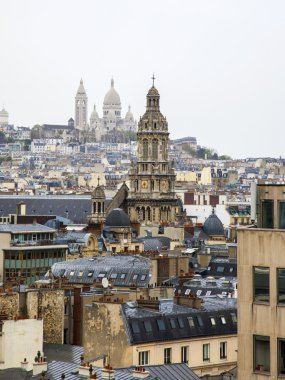 Paris, Fransa. gözlem platformu öykülü deposundan şehir görüntüsü