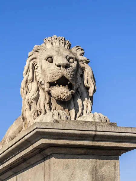 Budapešť, Maďarsko, 22 březen 2014. socha v městském prostředí. Obrázek Lví branou do Řetězový most — Stock fotografie