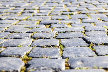 eski kömür topakları