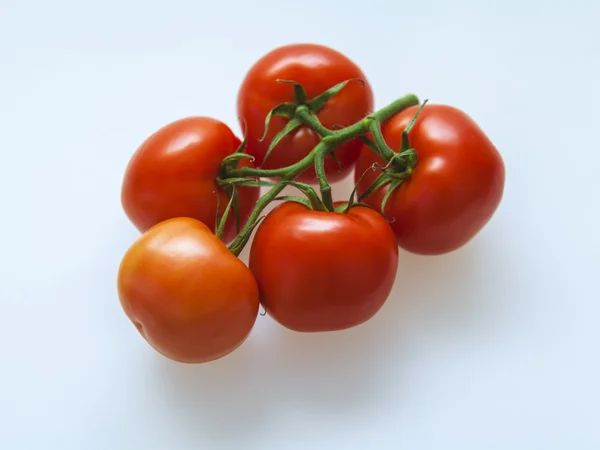 Der Zweig der reifen Tomaten — Stockfoto