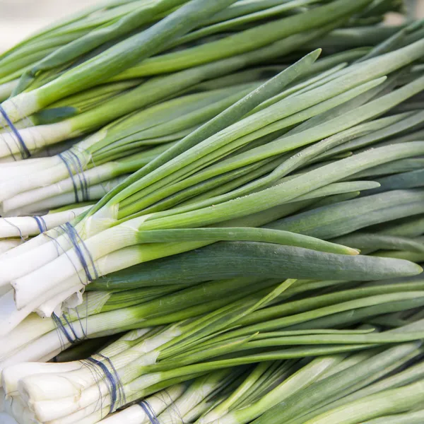 Bando de cebolas verdes frescas na banca do mercado — Fotografia de Stock