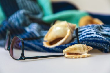 birkaç deniz kabuklarını ve terry havlu üzerinde güneş gözlüğü