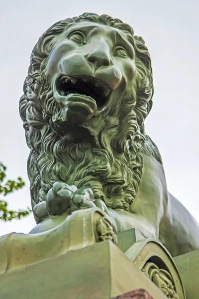Petrohrad, Rusko. Obrázek lva na Něvě — Stock fotografie