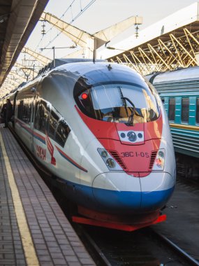Moskova, Rusya, 24 Ekim 2010. Peregrine tren ayakta istasyonu platformu