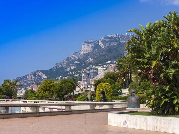 Principality of Monaco, France, on July 5, 2011. Typical look. — Stock Photo, Image