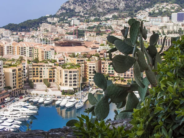 Principato di Monaco, Francia, 5 luglio 2011. Vista Yacht porto della città — Foto Stock