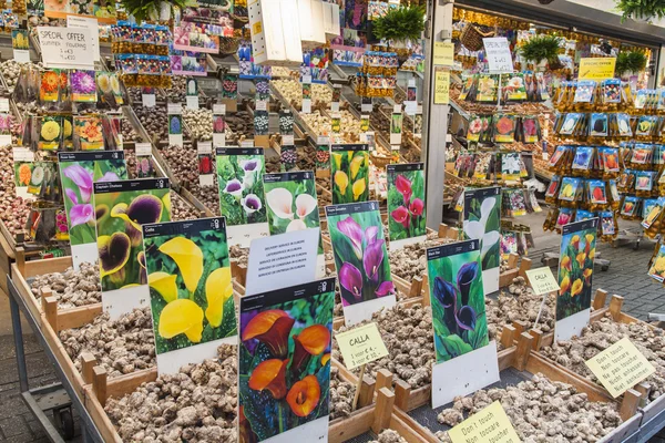 Αμστερνταμ, κάτω χώρες, στις 8 Ιουλίου 2014. πώληση των φυτών και σπόρων προς σπορά στην αγορά λουλουδιών του Άμστερνταμ. η αγορά των λουλουδιών - ένα από τα γνωστά αξιοθέατα της πόλης — Φωτογραφία Αρχείου