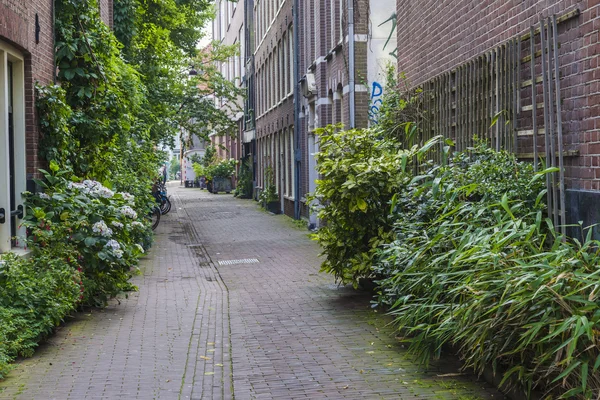 Amsterdam, Netherlands, on July 10, 2014. Typical urban view — Stock Photo, Image