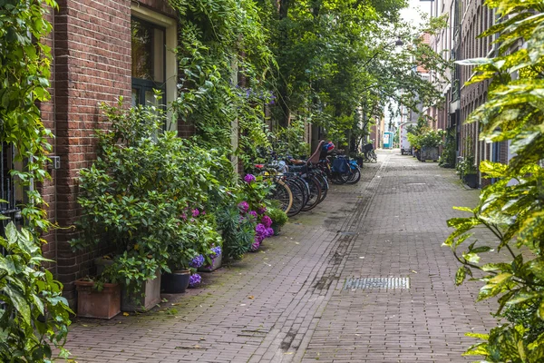 Амстердам, Нидерланды, 10 июля 2014 года. Типичный вид на город — стоковое фото