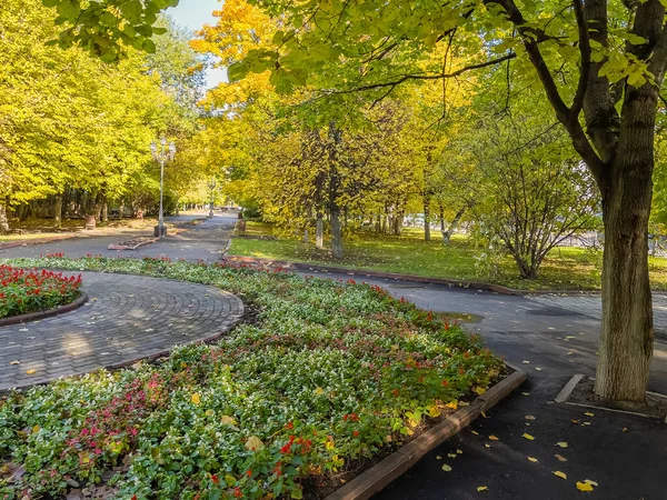 Eine Malerische Gasse Herbst Park — Stockfoto