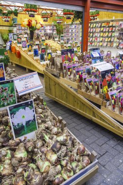 Amsterdam, Hollanda, 8 Temmuz 2014 tarihinde. bitkiler ve tohumlar Amsterdam çiçek pazarında satışı. çiçek pazarı - şehir bilinen yerler