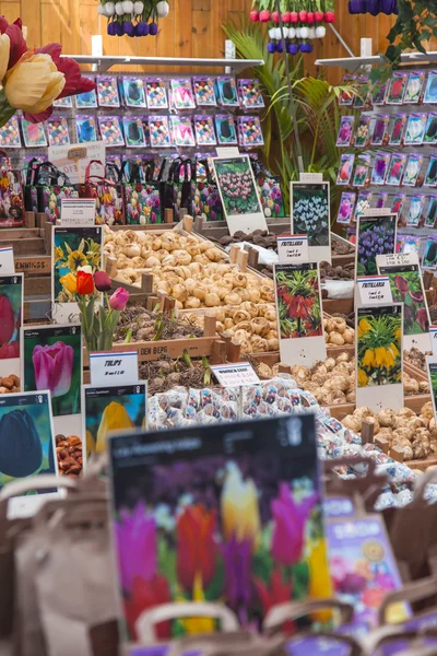 Αμστερνταμ, κάτω χώρες, στις 8 Ιουλίου 2014. πώληση των φυτών και σπόρων προς σπορά στην αγορά λουλουδιών του Άμστερνταμ. η αγορά των λουλουδιών - ένα από τα γνωστά αξιοθέατα της πόλης — Φωτογραφία Αρχείου