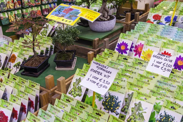 Amsterdã, Holanda, em 8 de julho de 2014. Venda de plantas e sementes no mercado de flores de Amesterdão. O mercado de flor - um de vistas conhecidas da cidade — Fotografia de Stock