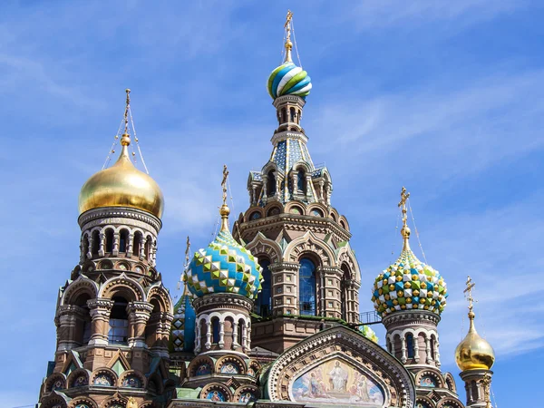 Saint-Pétersbourg, Russie, le 22 juillet 2012. Dômes de la cathédrale Eglise du Sauveur sur le Sang — Photo