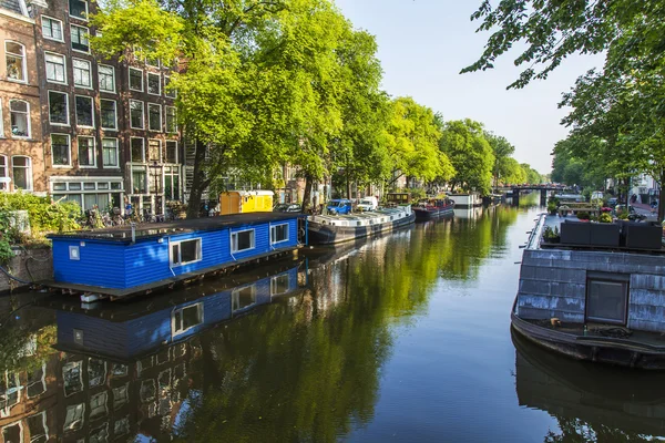 Amsterdam, Netherlands, on July 10, 2014. Inhabited boats at the channel coast — Stock Photo, Image