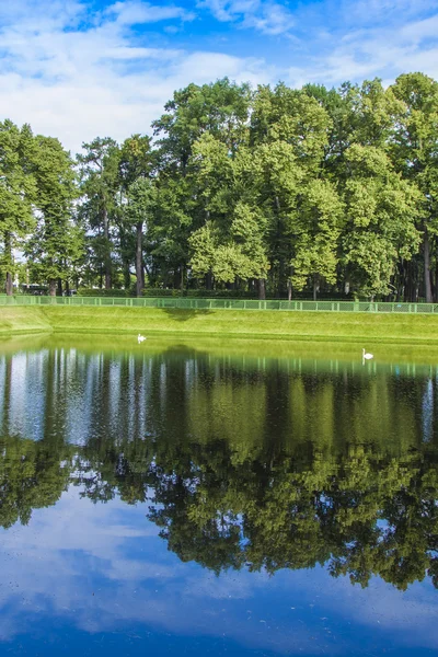 São Petersburgo, Rússia. Árvores na margem de uma lagoa e seu reflexo na água no Jardim de Verão — Fotografia de Stock
