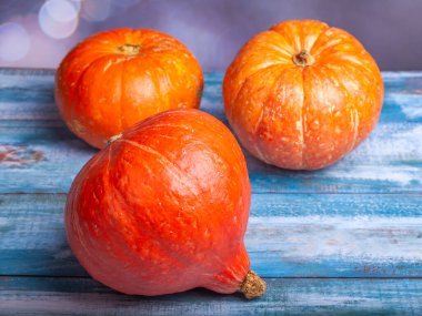 Masada üç farklı kabak çeşidi var.