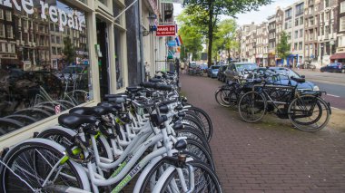 Amsterdam, Hollanda, üzerinde Temmuz 10, sokakta park halinde 2014.rental bisikletler