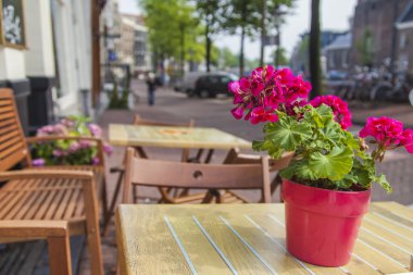 Amsterdam, Hollanda, üzerinde 10 Temmuz 2014. Yaz Cafe şehrin cadde üzerinde