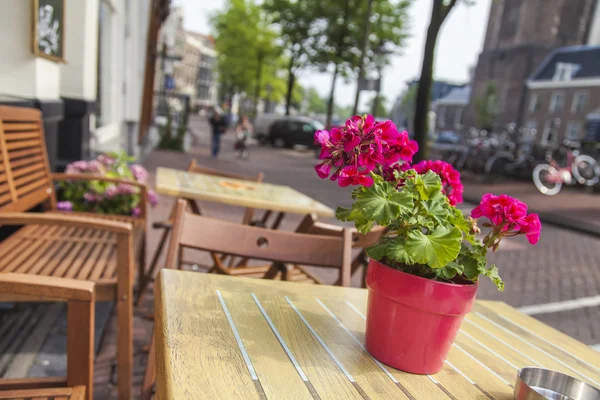 Amsterdam, Nizozemsko, na 10 července 2014. letní kavárna na ulici města — Stock fotografie