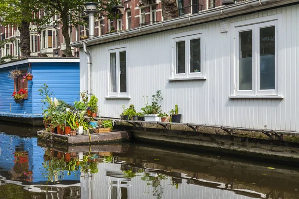 Amsterdam, Netherlands, on July 10, 2014. Inhabited boats at the channel coast — Stock Photo, Image