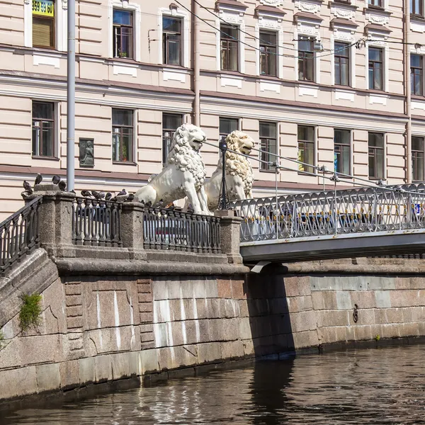 St. Petersburg, Russia, on July 22, 2012. Typical urban view. Lion Bridge — Stock Photo, Image