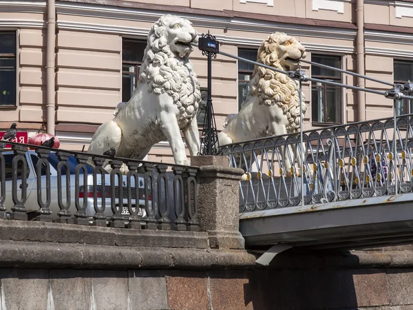 St. petersburg, Rusya Federasyonu-22 Temmuz 2012 tarihinde. tipik kentsel görünümü. Aslan Köprüsü — Stok fotoğraf