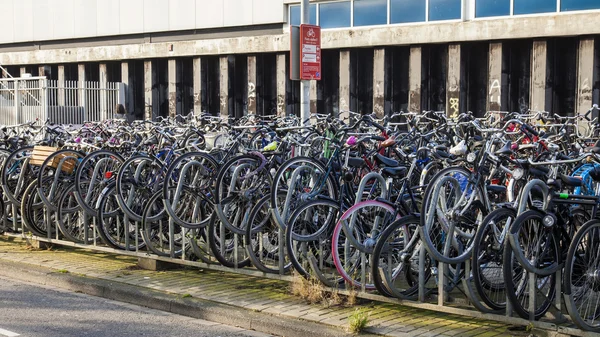 Amsterdam, Netherlands, on July 10, 2014. The bicycles parked in the city street — Stock Photo, Image