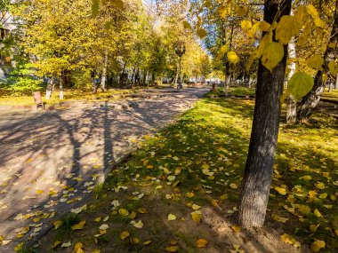 Sonbaharda parkta pitoresk bir sokak. 