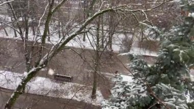 Pushkino, Rusya, 12 Kasım 2021. Sonbahar şehri. Sokağa ve ağaçlara bak.