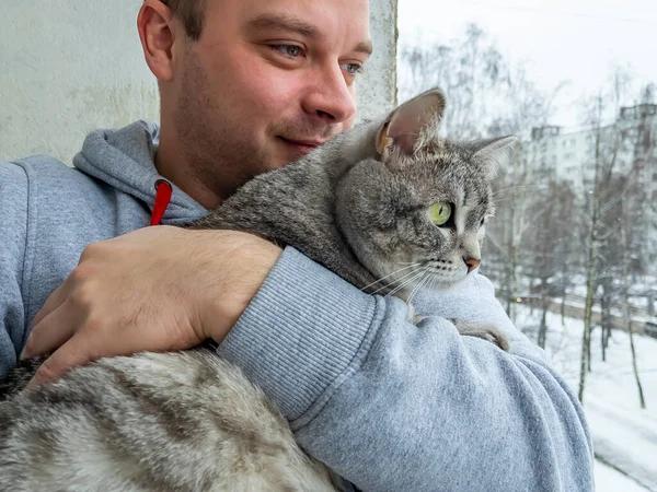 Gata Hermosa Mullida Tabby Sienta Las Manos Hombre Joven Mira Fotos de stock