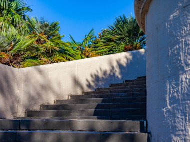 Deniz kıyısındaki resimli tropikal bitkiler