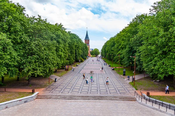 Kaliningrad Ryssland Juni 2021 Utsikt Över Kant — Stockfoto
