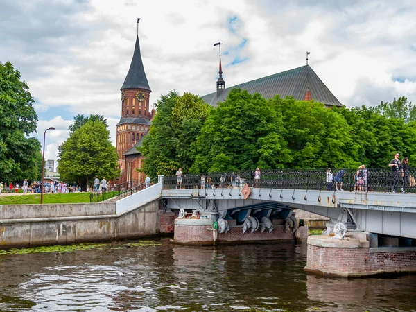 Kaliningrad Rusland Juni 2021 Pregolya Rivierdijk Uitzicht Het Eiland Kant — Stockfoto