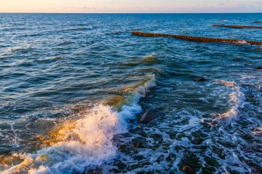 Deniz manzarası. Dalgalar ve köpüklerle sörf yapmak. Doğa arkaplanı