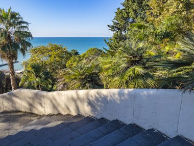 Deniz kıyısındaki resimli tropikal bitkiler