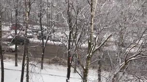 Pushkino Rosja Grudnia 2020 Zimowy Pejzaż Miasta Usuwanie Śniegu Ulicy — Wideo stockowe