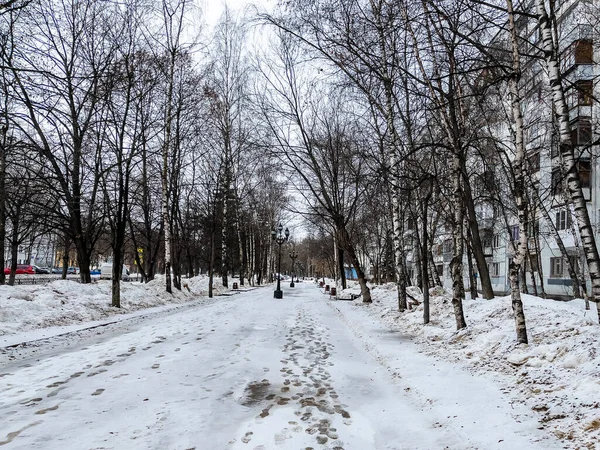 Pushkino Rusland Maart 2020 Winterstadsgezicht Woningbouw Bomen Het Microdistrict Serebryanka — Stockfoto