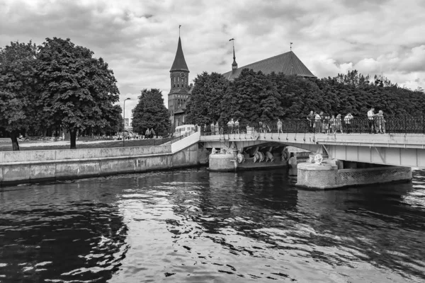 Kaliningrad Russia June 2021 Pregolya River Embankment Honey Bridge — Stock Photo, Image