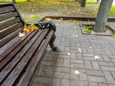 Sonbahar bulvarında sarı yapraklı bankta. 