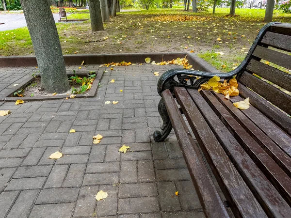 Скамейка Желтыми Листьями Осеннем Бульваре — стоковое фото
